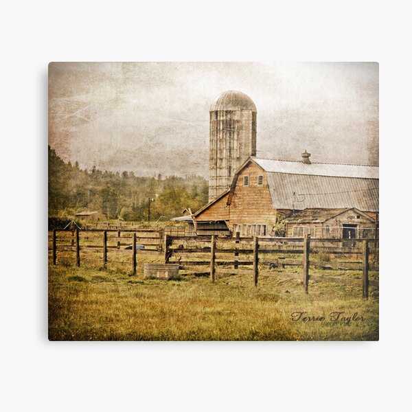 Barn Series : 1 Metal Print