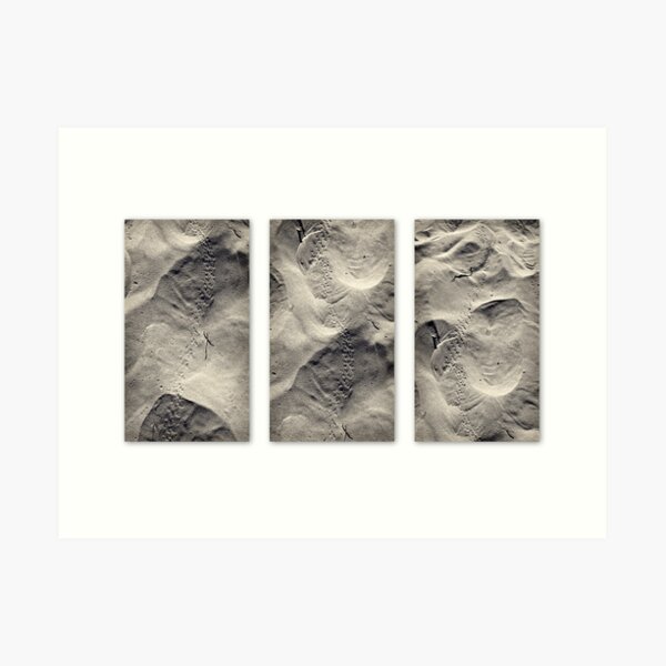 Beach trek triptych Art Print