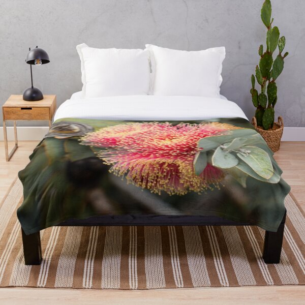 Item preview, Eucalyptus macrocarpa, Western Australia  designed and sold by Life Images by Jill .