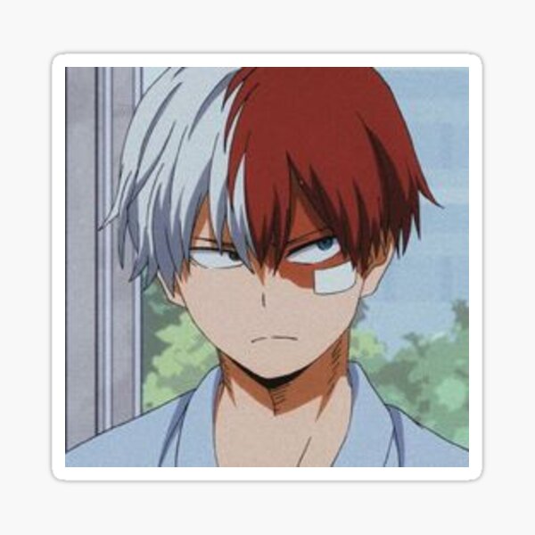 todoroki stickers redbubble