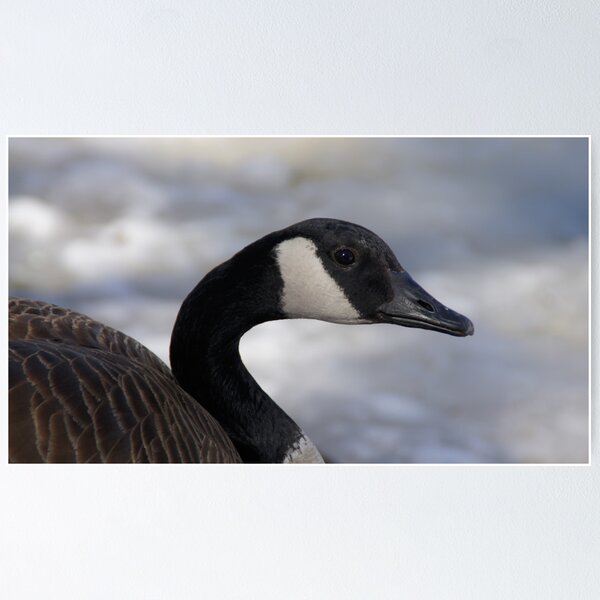 Item preview, Goose against the snow designed and sold by agenttomcat.