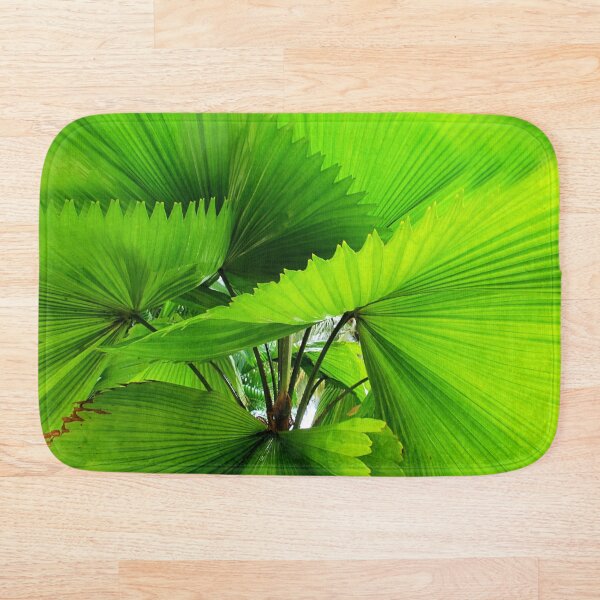 Aperçu de l'œuvre Feuilles de palmier Tropical Fan créée et vendue par Life Images by Jill .