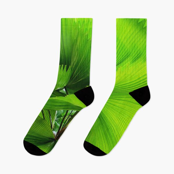 Item preview, Tropical Fan palm leaves designed and sold by Life Images by Jill .