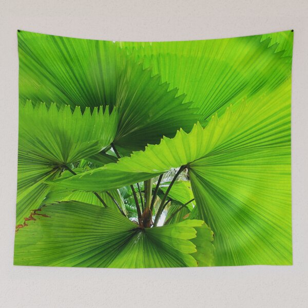 Item preview, Tropical Fan palm leaves designed and sold by Life Images by Jill .