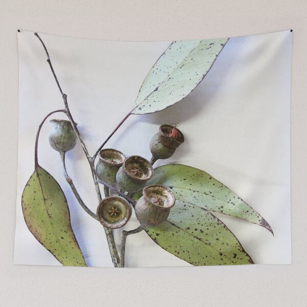 Item preview, Marri eucalypt leaves and nuts, Western Australia  designed and sold by Life Images by Jill .