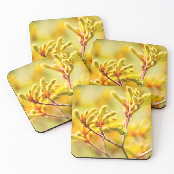 Kangaroo Paw - Western Australian wildflower Coasters (Set of 4)