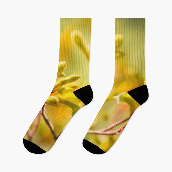 Item preview, Kangaroo Paw - Western Australian wildflower  designed and sold by Life Images by Jill .