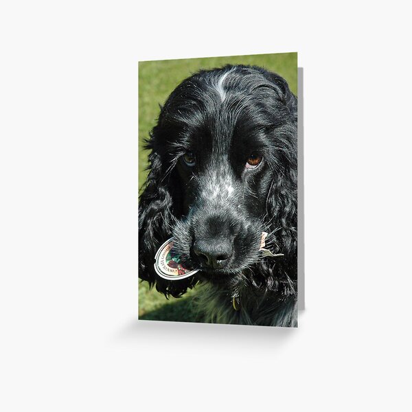 Item preview, Cocker spaniel designed and sold by LynnLondon.