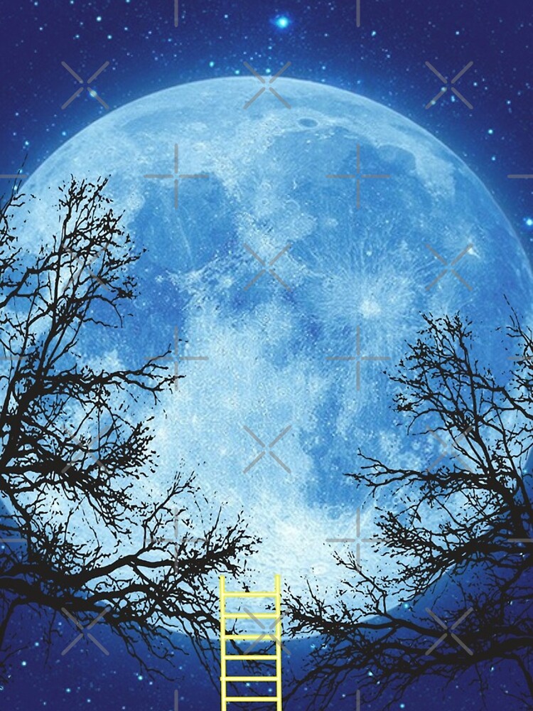 A Ladder to the Moon by savesarah