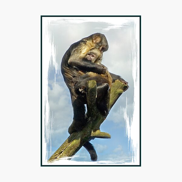 Hold on Tight Photographic Print