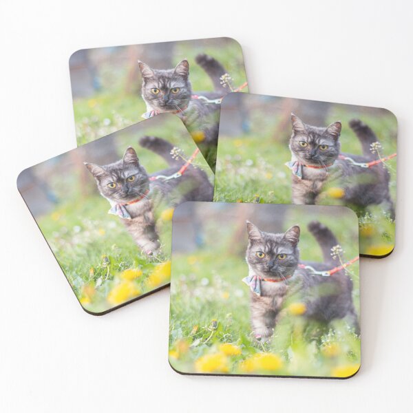 Item preview, Cute grey cat in dandelions. designed and sold by Pokofoto.