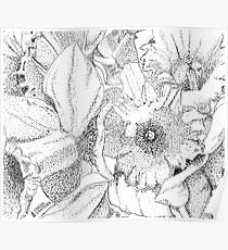 Daffodils Poster