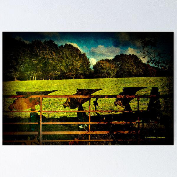 Artikelvorschau, The Old Plough entworfen und verkauft von David's Photoshop.