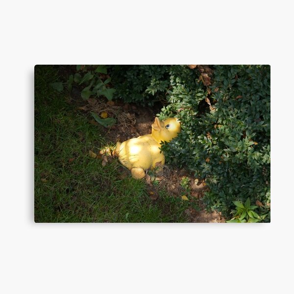 Item preview, Discarded Duck in Sunlight  designed and sold by Roswitha Lorz.