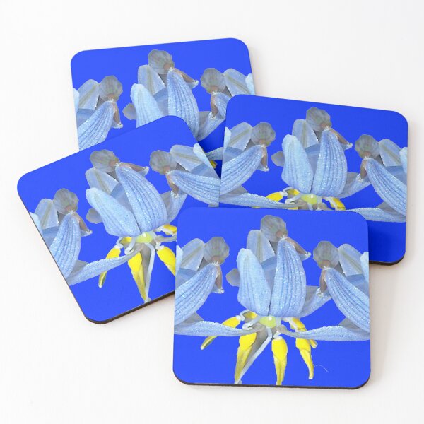 Item preview, Spider Orchids designed and sold by KazM.