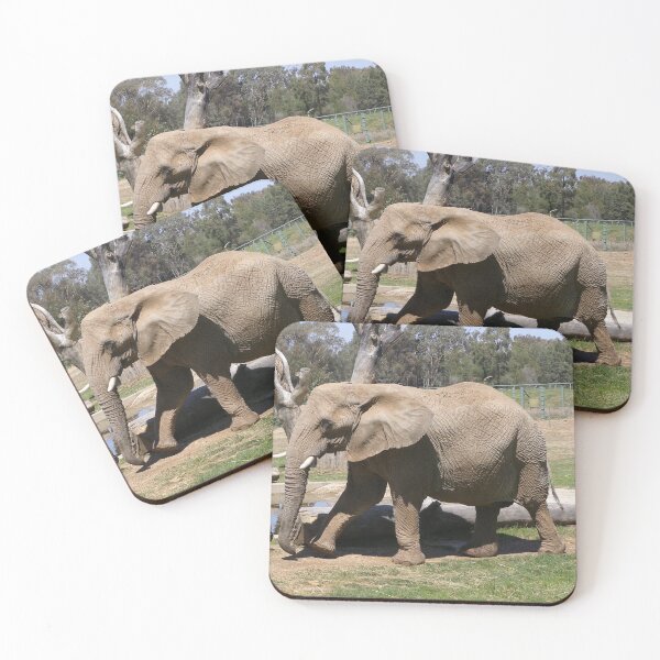 Item preview, African Elephant at Open Plains Zoo. Dubbo. New South Wales. designed and sold by RitaBlom.