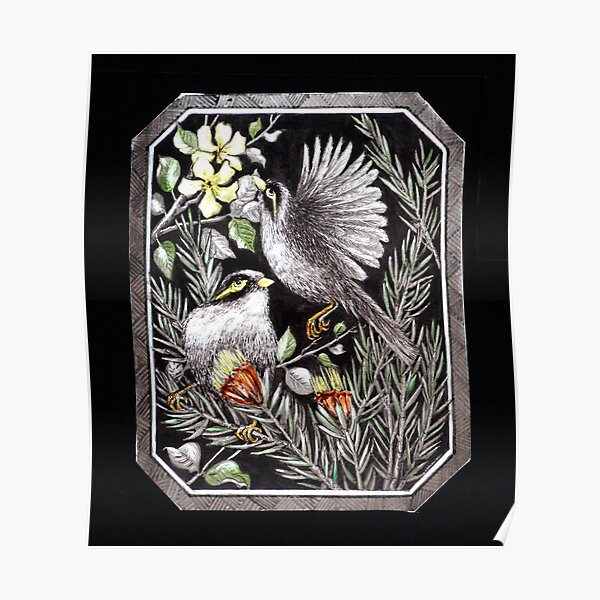 Noisy Mynah Birds & Thorny Mountain Devils Poster