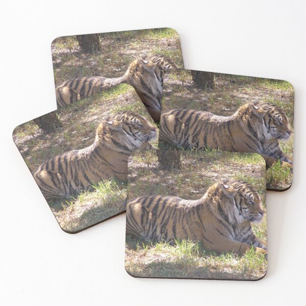 Item preview, Relaxing Bengal Tiger!  Dubbo Open Plains Zoo. New South Wales. Australia. designed and sold by RitaBlom.