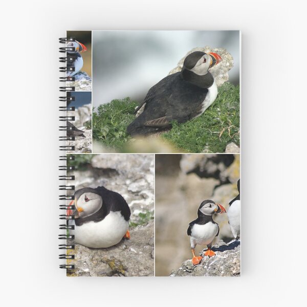 Item preview, puffins designed and sold by KathleenDawson.