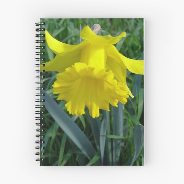 Item preview, A Nodding King George Daffodil in our garden. designed and sold by RitaBlom.