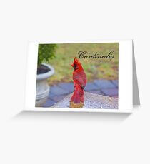Cardinalis Greeting Card