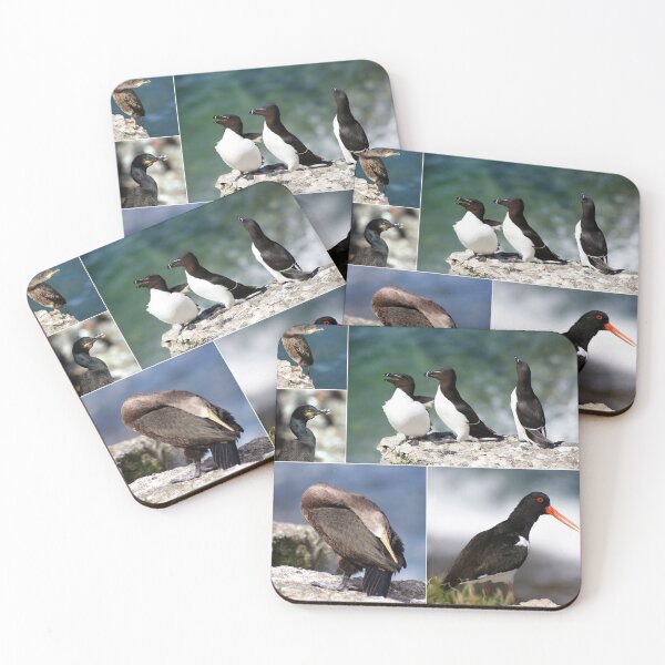 Item preview, seabirds designed and sold by KathleenDawson.