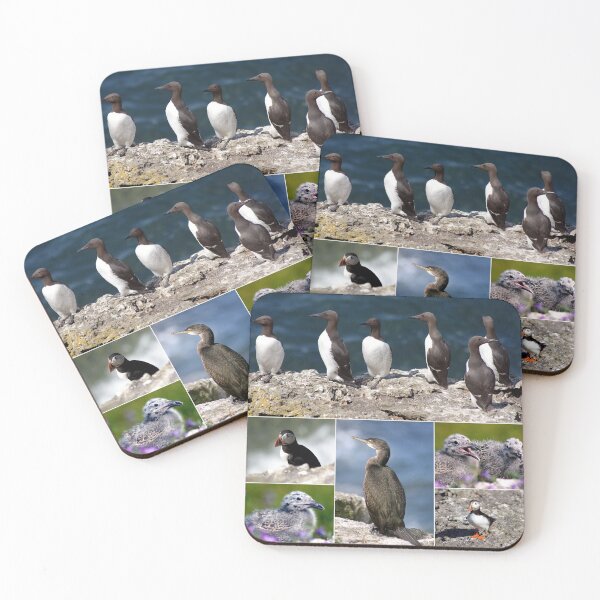 Item preview, seabirds designed and sold by KathleenDawson.