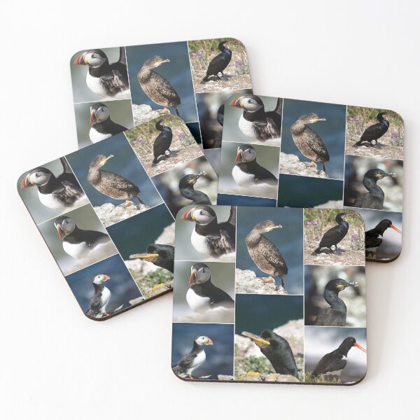 Item preview, seabirds designed and sold by KathleenDawson.