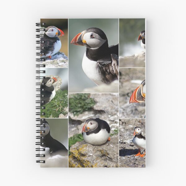 Item preview, puffins designed and sold by KathleenDawson.
