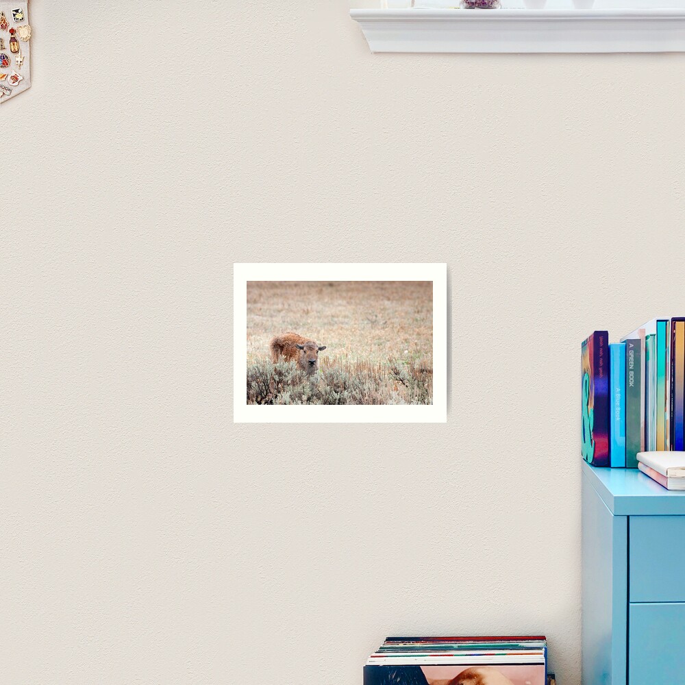 Sad Calf In The Freezing Rain Art Print