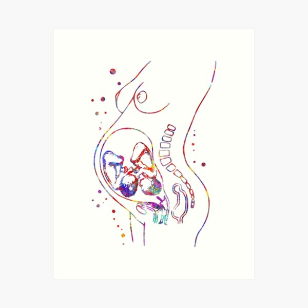 Item preview, Pregnancy, Pregnant woman anatomy, fetus designed and sold by Rosaliartbook.