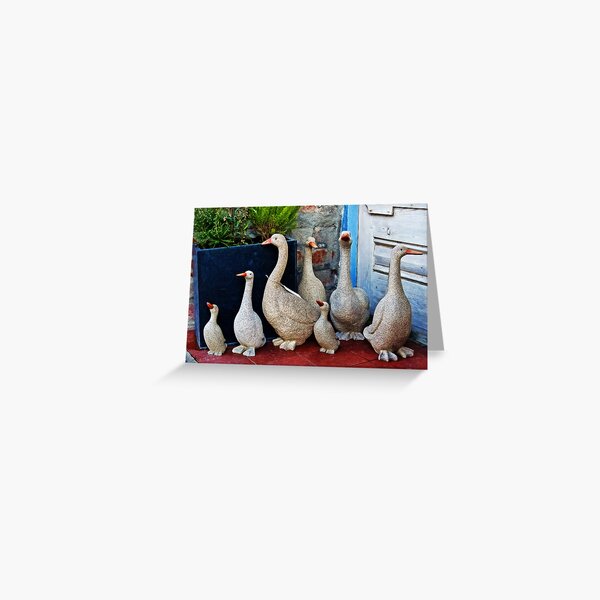 Item preview, Ducks For Sale designed and sold by Dorset Girl.