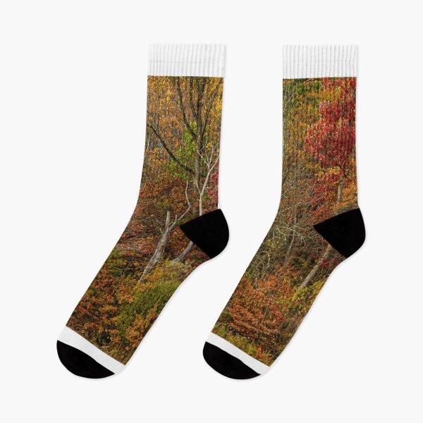 Item preview, Autumn's Palette designed and sold by ShootFirstNYC.