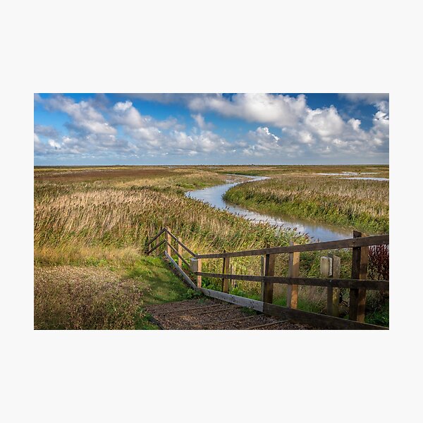 Norfolk Reed Photographic Print