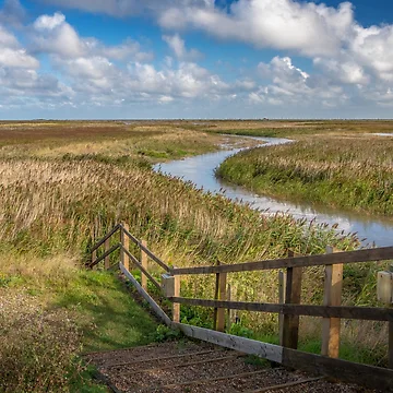 Artwork thumbnail, Norfolk Reed by Jim Key