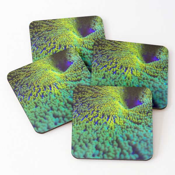 Item preview, Toxic green and yellow carpet anemone designed and sold by buzzmarshall.