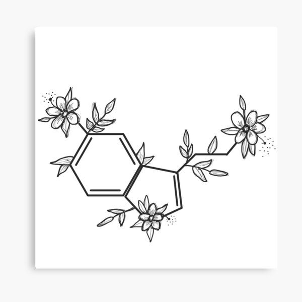 Serotonin Sticker Canvas Print