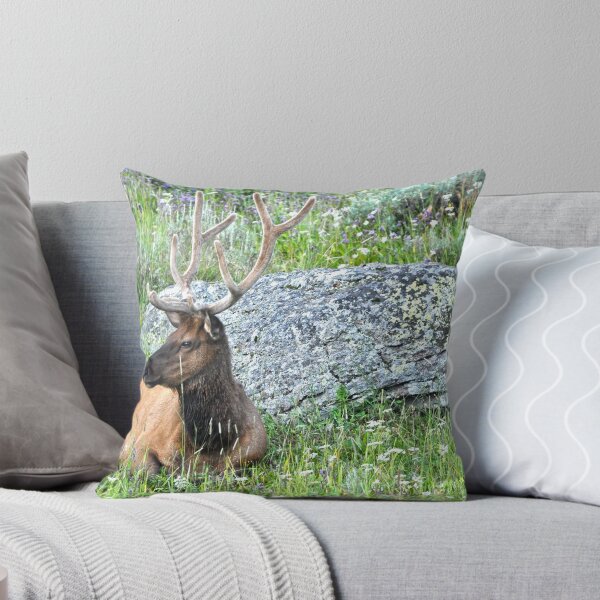 Item preview, Just Chillin designed and sold by Caleb Ward.