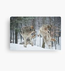 Dances With Wolves Canvas Print
