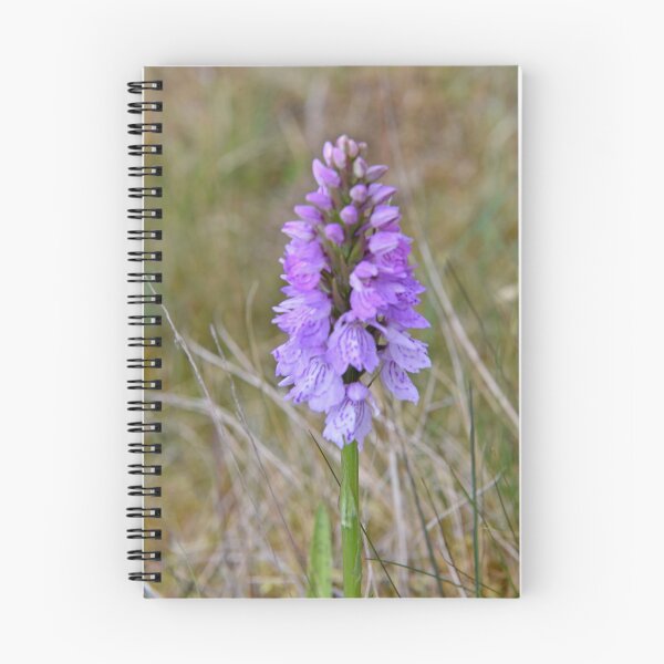 Item preview, Heath Spotted Orchid designed and sold by Chris Monks.