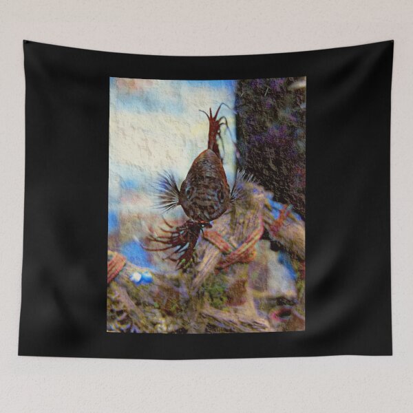 Item preview, My Betta  designed and sold by Cjwest36173.