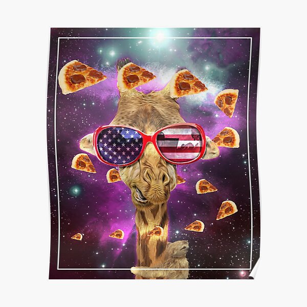 sophie the giraffe sunglasses