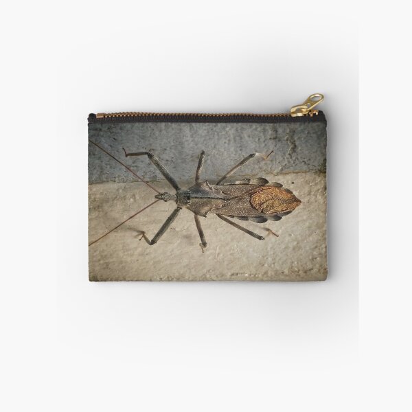 Item preview, Bug DPSS170520a  designed and sold by CSteenArt.