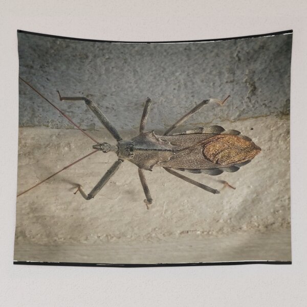 Item preview, Bug DPSS170520a  designed and sold by CSteenArt.