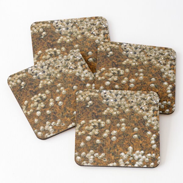 Item preview, Barnacles designed and sold by NGraham72.
