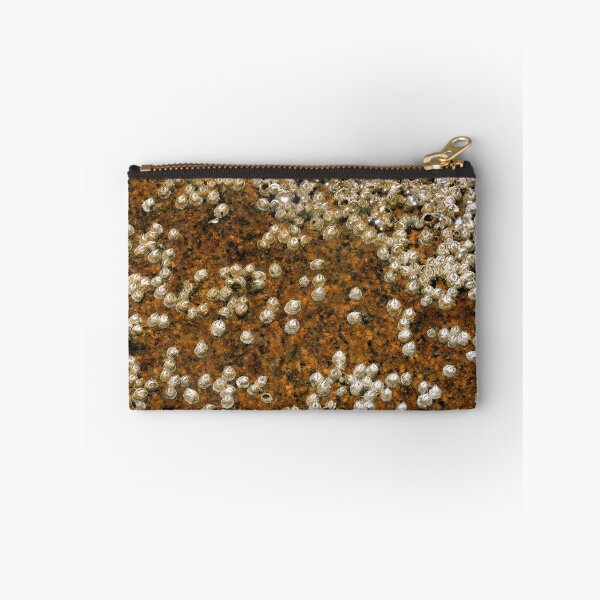 Item preview, Barnacles designed and sold by NGraham72.