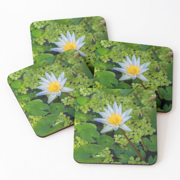 Item preview, Beautiful Nymphaea Nouchali Lily Pad Flower is Blooming designed and sold by Chee Sim.