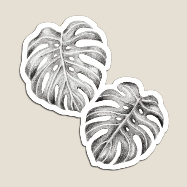 Item preview, Monstera Deliciosa Pencil Drawing Pattern designed and sold by Ivy Lily Art.
