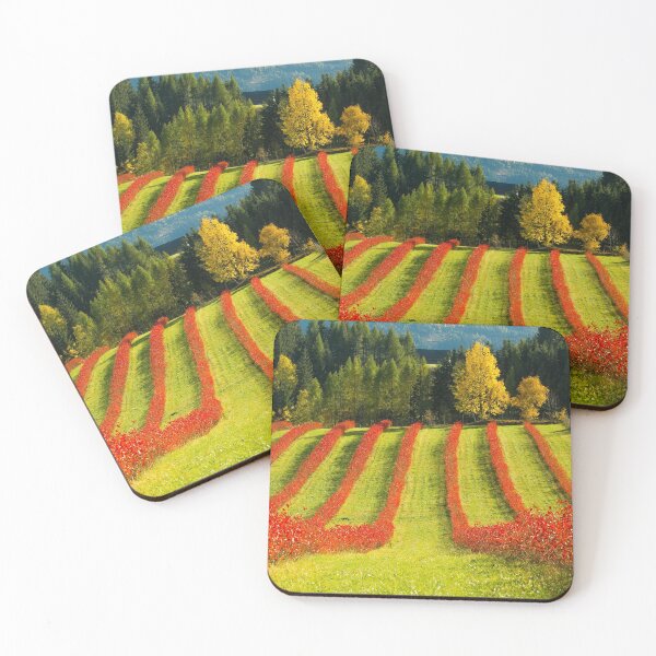 Item preview, Aronia field in Fall designed and sold by Walter Quirtmair.