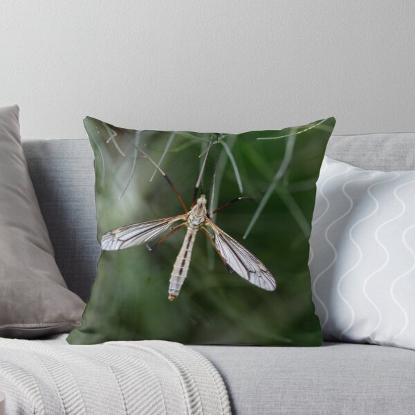 Item preview, Crane Fly designed and sold by cuprum.